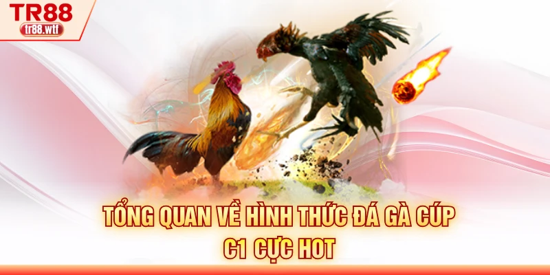 Tổng quan về hình thức đá gà cúp C1 cực hot